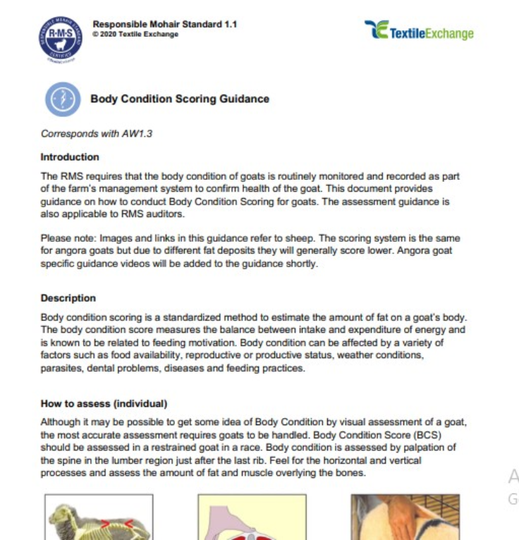 RAF-211b RMS Body Condition Scoring Guidance