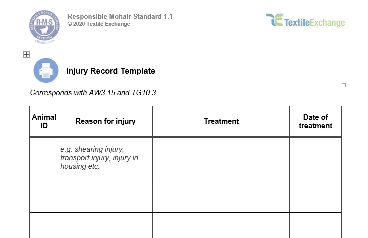 RAF-221b RMS Injury Report Template