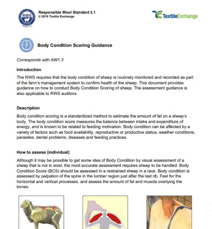 RAF-211a RWS Body Condition Scoring Guidance