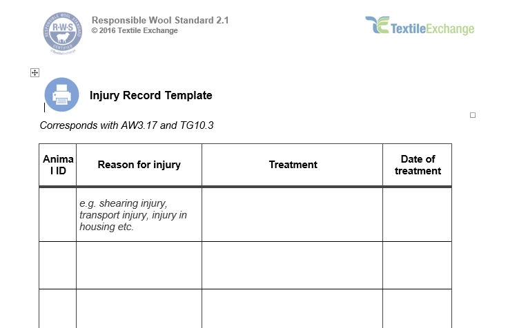 RAF-221a RWS Injury Report Template