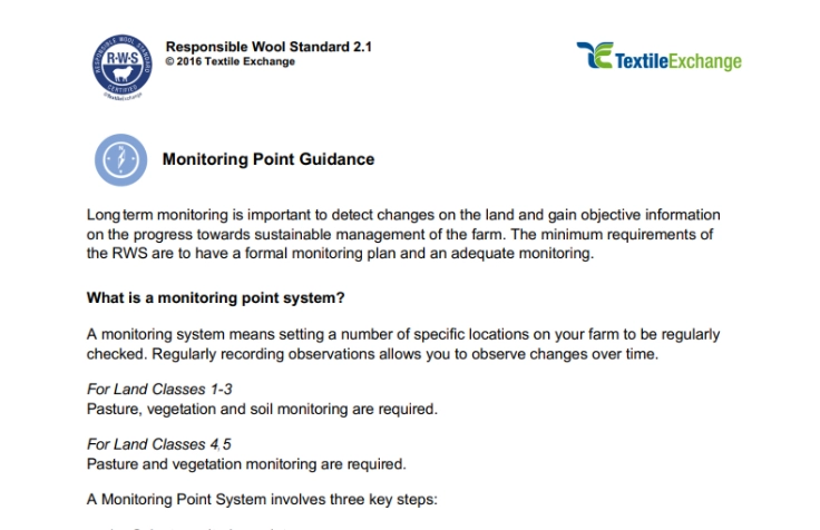 RAF-228a RWS Monitoring Point Guidance