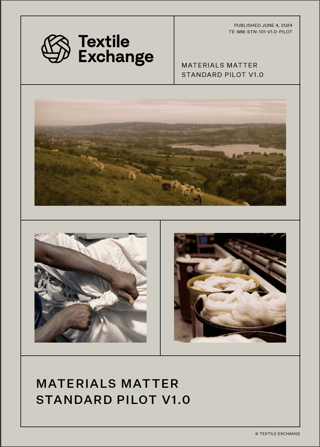 TE-MM-STN-101 Materials Matter Standard Pilot Version